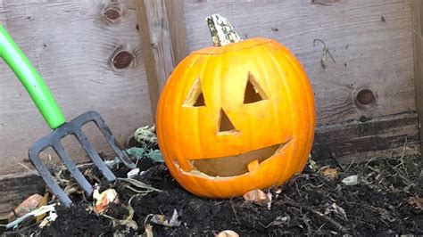 Turning last night’s jack-o’-lantern into compost, and other morning-after pumpkin options